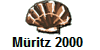 Mritz 2000 